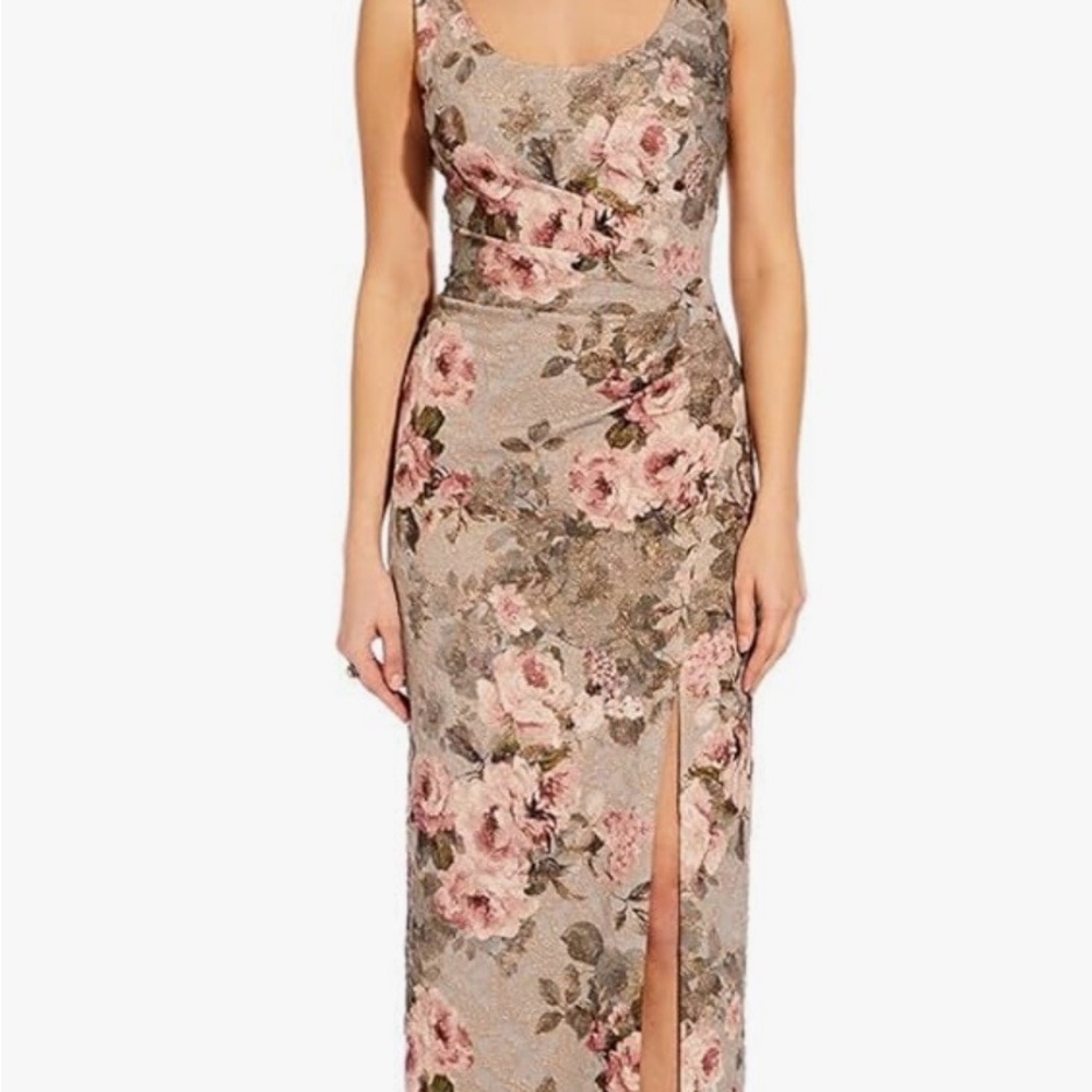 Adrianna  Papell Floral Sleeveless Maxi Dress